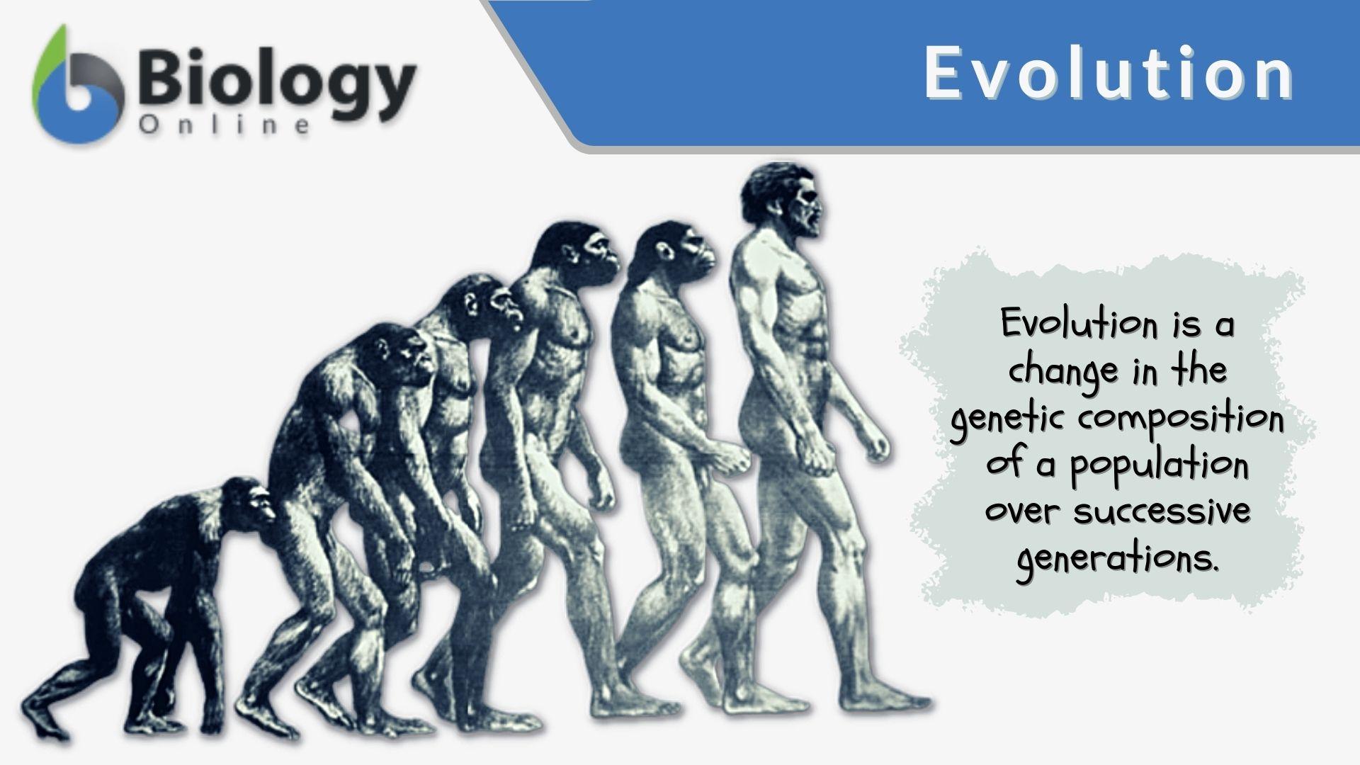 human evolution definition essay