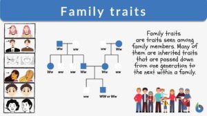family trait definition and examples
