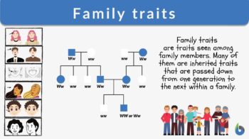 Personality Traits Overview, List & Examples - Video & Lesson