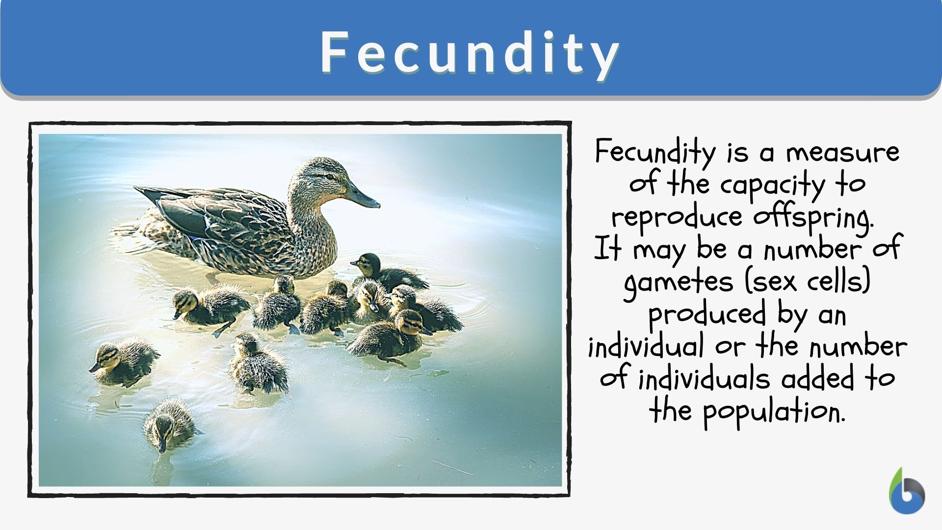 Fecundity - Definition and Examples - Biology Online Dictionary Fecundity - Definition and Examples - Biology Online Dictionary
