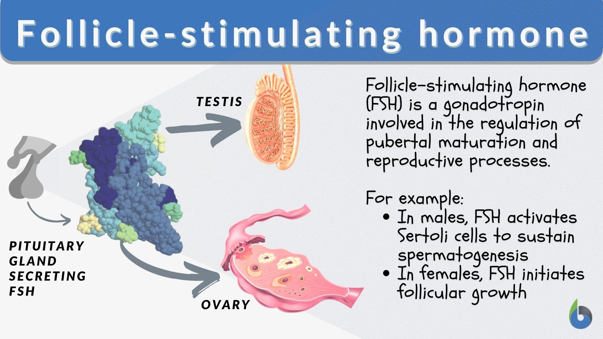Follicle Stimulating Hormone FSH Follitropin 44 OFF
