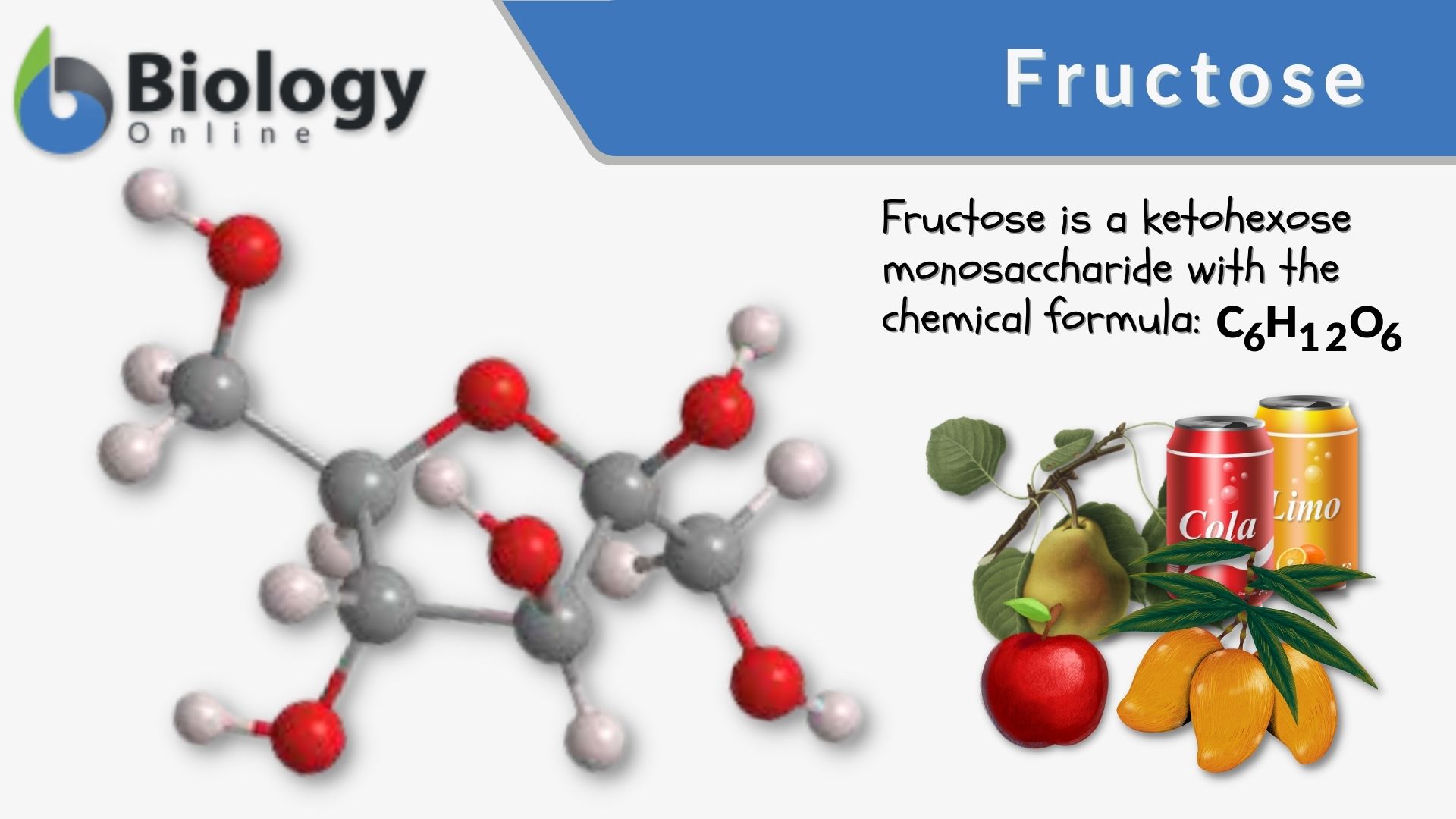 Fructose Definition and Examples - Biology Online Dictionary