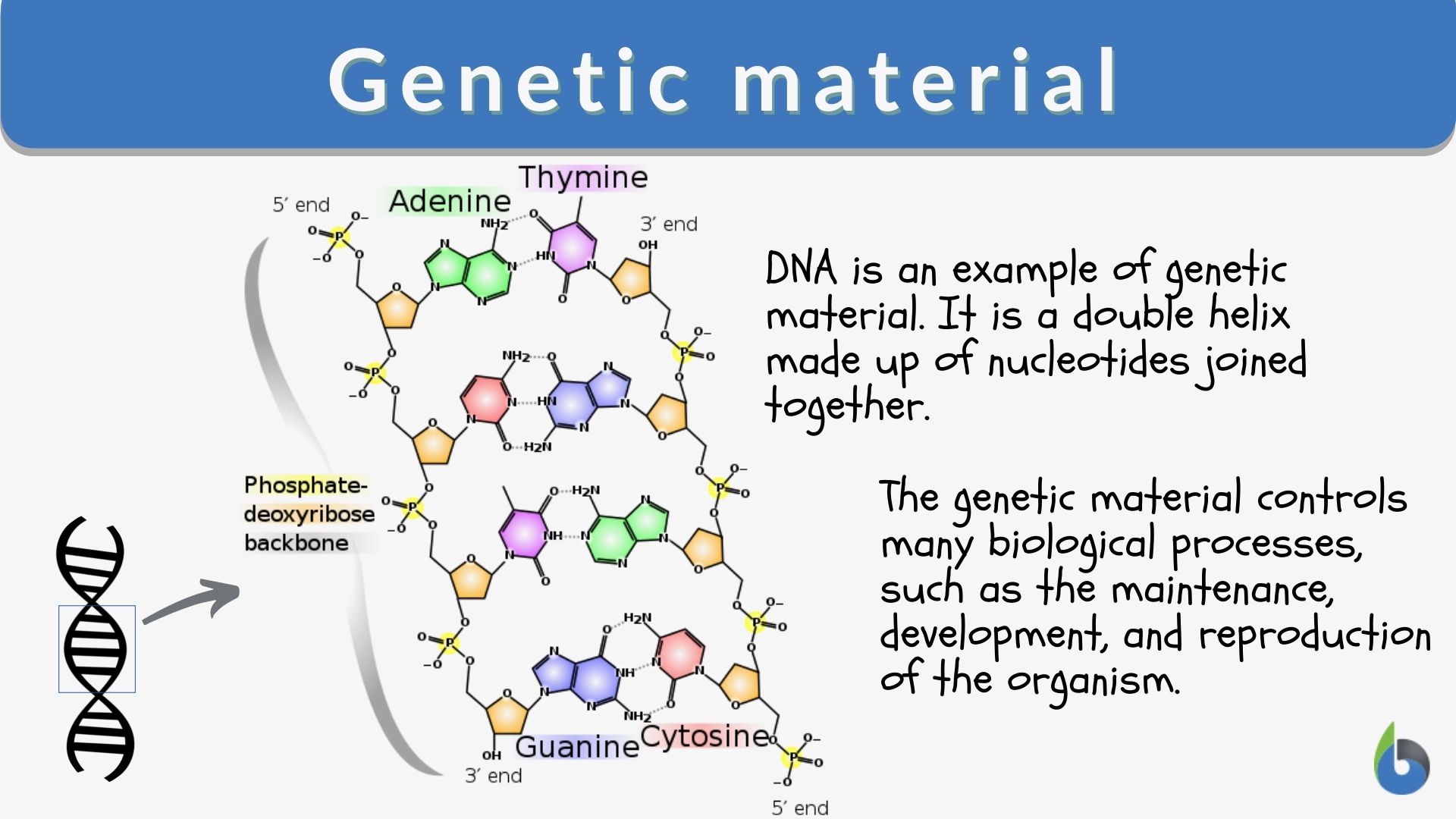 research on genetic material