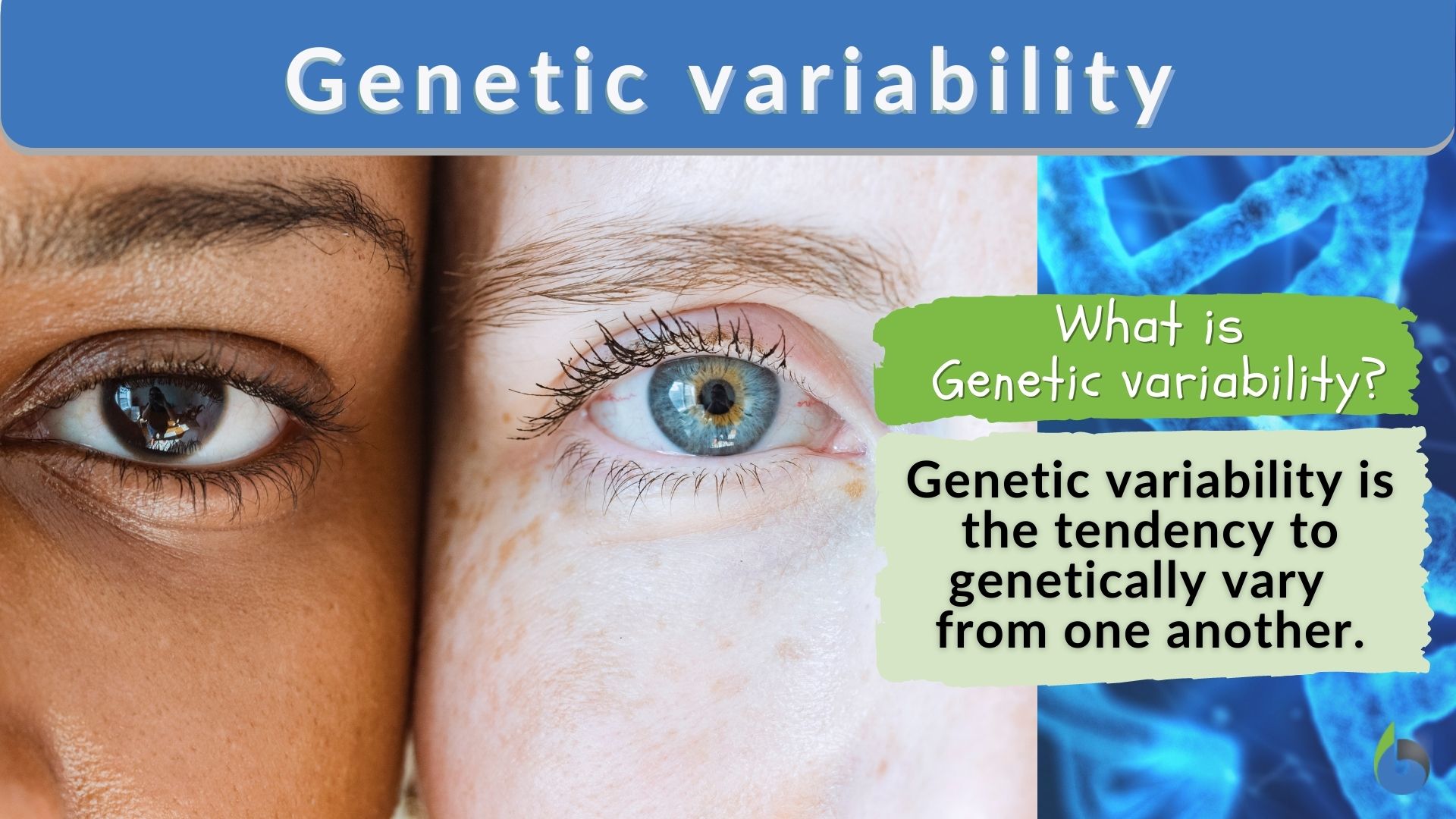 Eye color, Description, Heredity, & Variations