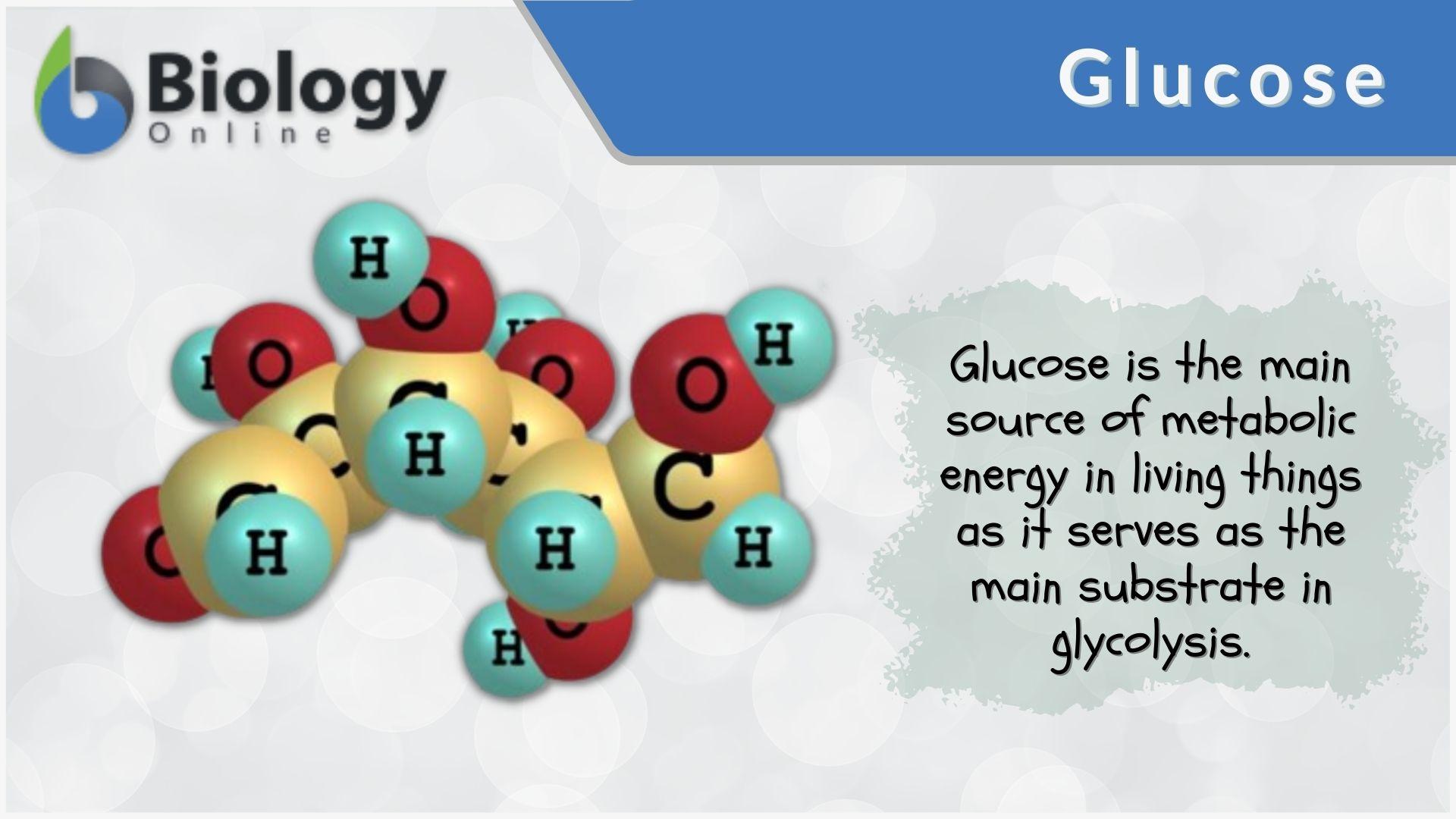 Glucose Definition and Examples - Biology Online Dictionary