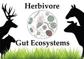 Herbivore - Definition and Examples - Biology Online Dictionary Herbivore - Definition and Examples - Biology Online Dictionary
