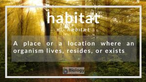 habitat definition