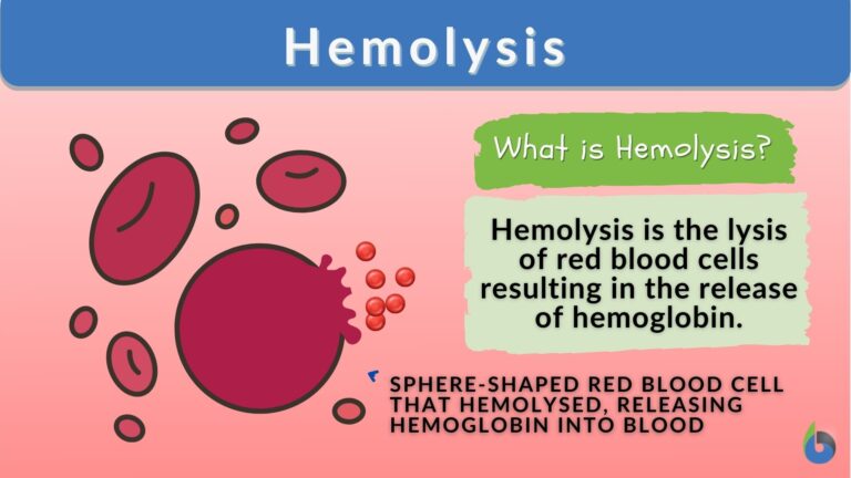 process of Hemolysis
