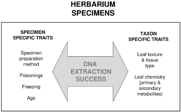 herbarium specimen diagram