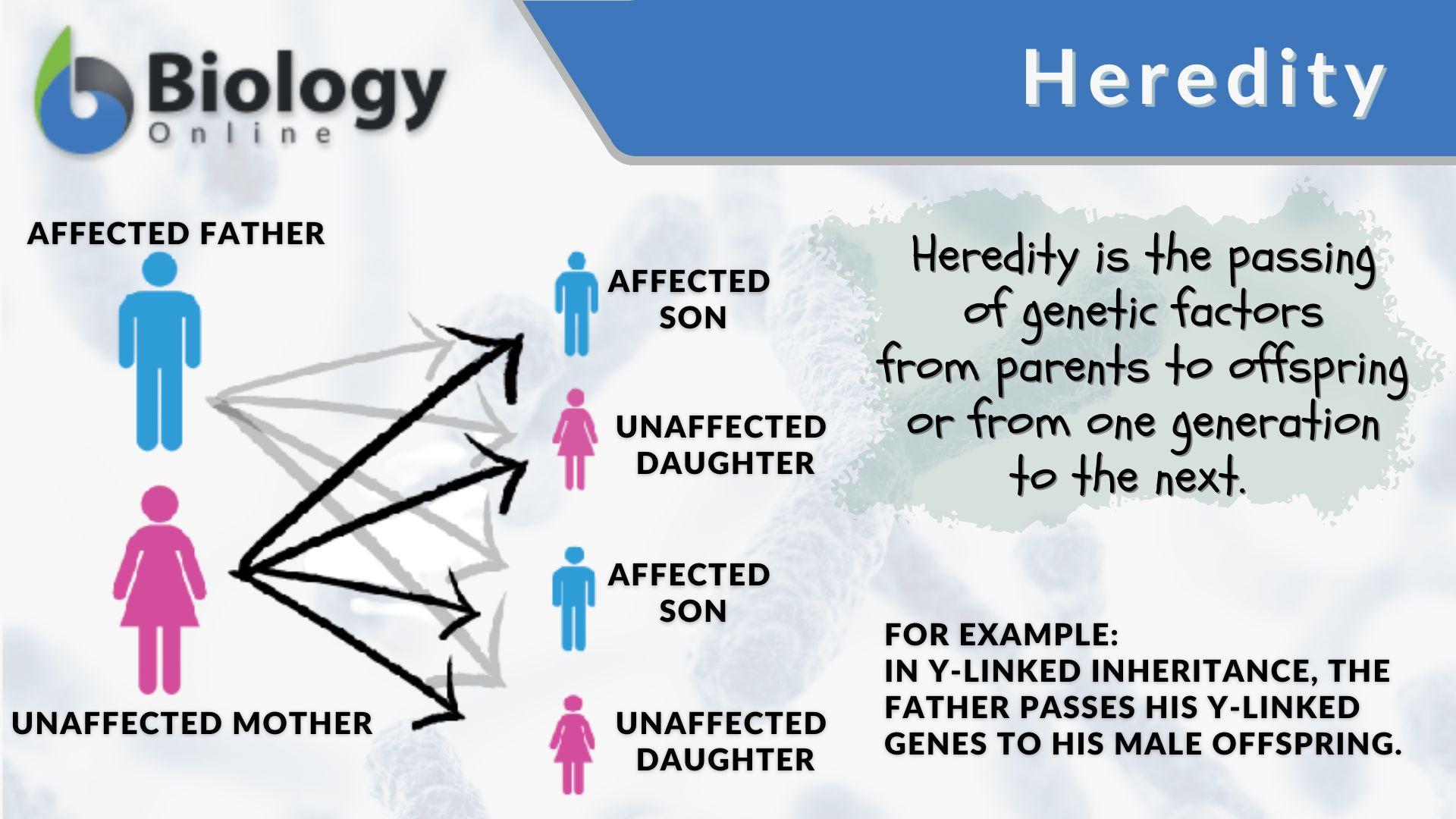 what is the difference between heredity and environment