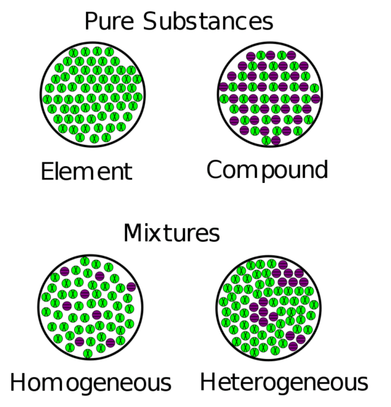 Homogenous Definition And Examples Biology Online Dictionary