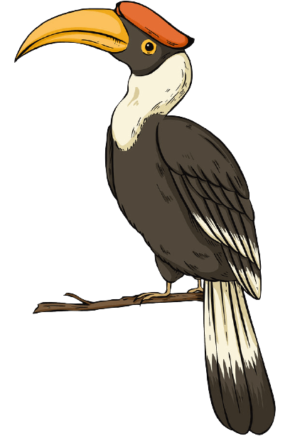 Aves - Definition and Examples - Biology Online Dictionary