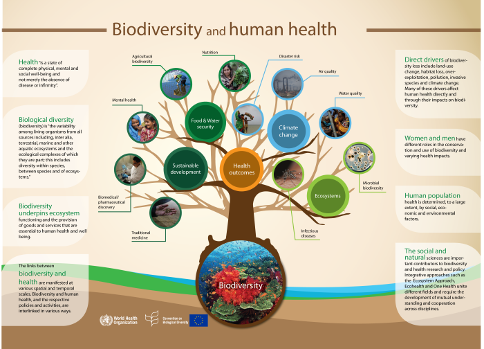 human health and global biodiversity