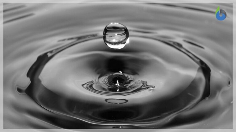 hydrophilic definition