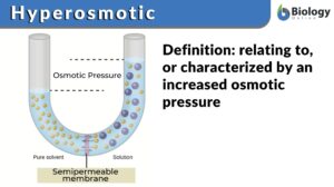 hyperosmotic definition