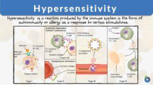 hypersensitivity definition and example
