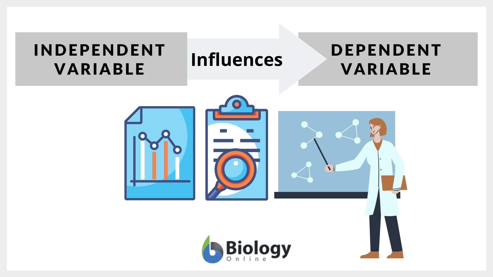 independent variable example biology