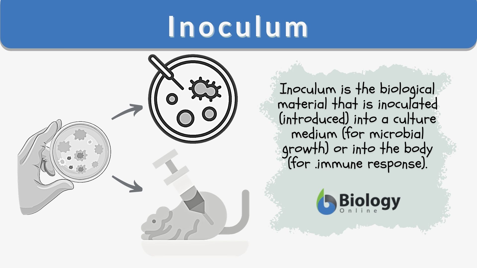 Inoculum - Definition and Examples - Biology Online Dictionary