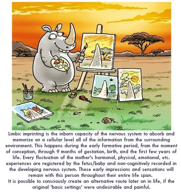 limbic imprinting