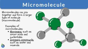 micromolecule definition and examples