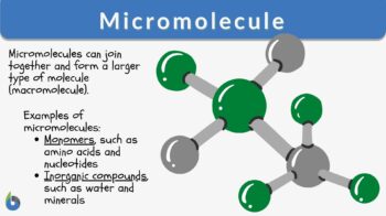 micromolecule definition and examples