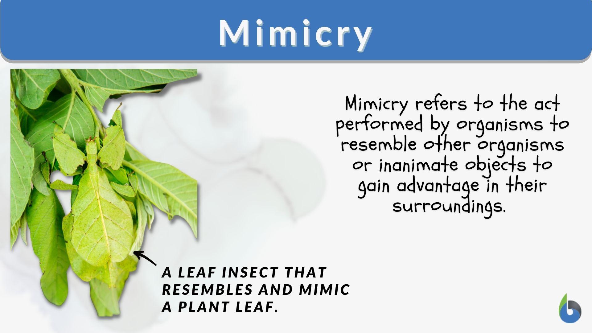 Mimicry Definition and Examples - Biology Online Dictionary