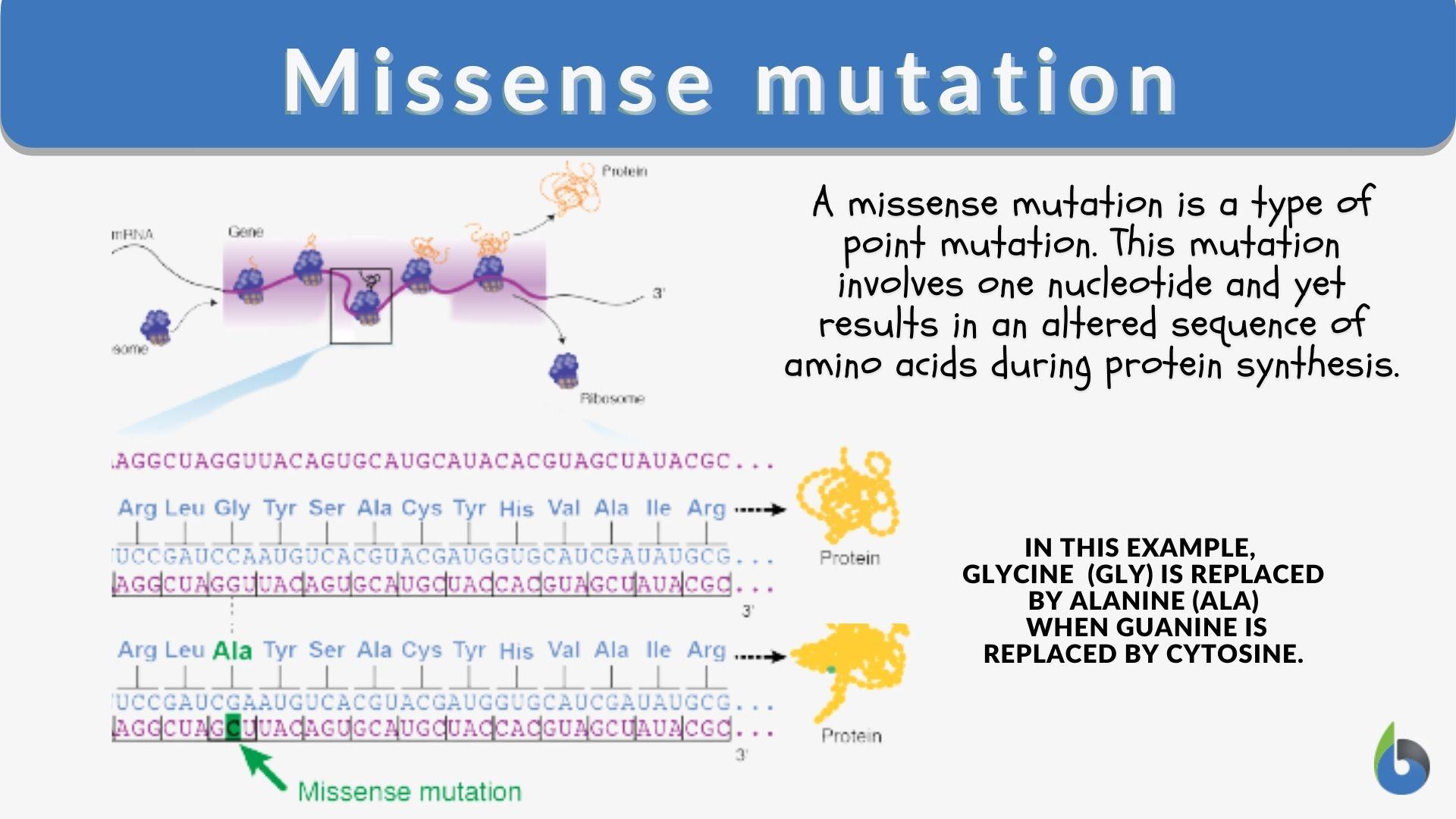 Mutations