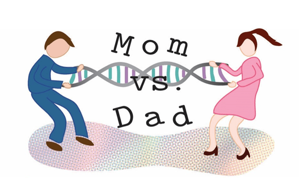 mom vs dad - genomic imprinting