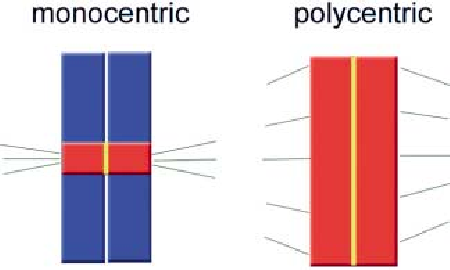 monocentric vs polycentric