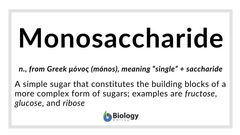 monosaccharide definition