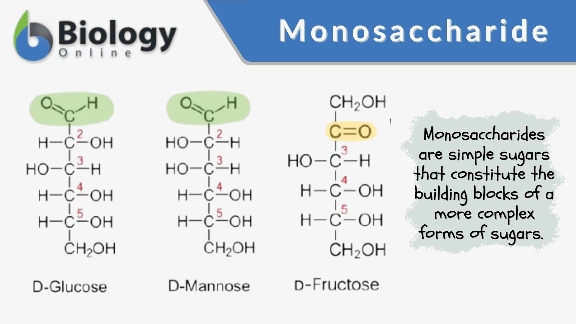 basic carbohydrate chemical structure