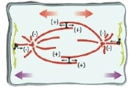 motor assembly diagram