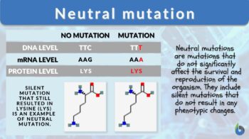 neutral mutation definition and examples