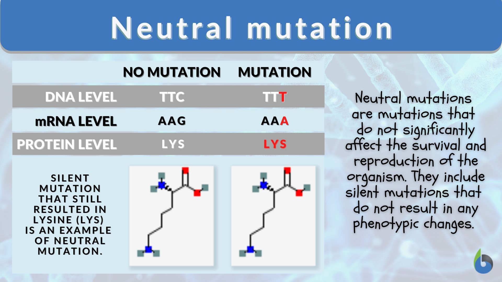 Mutations