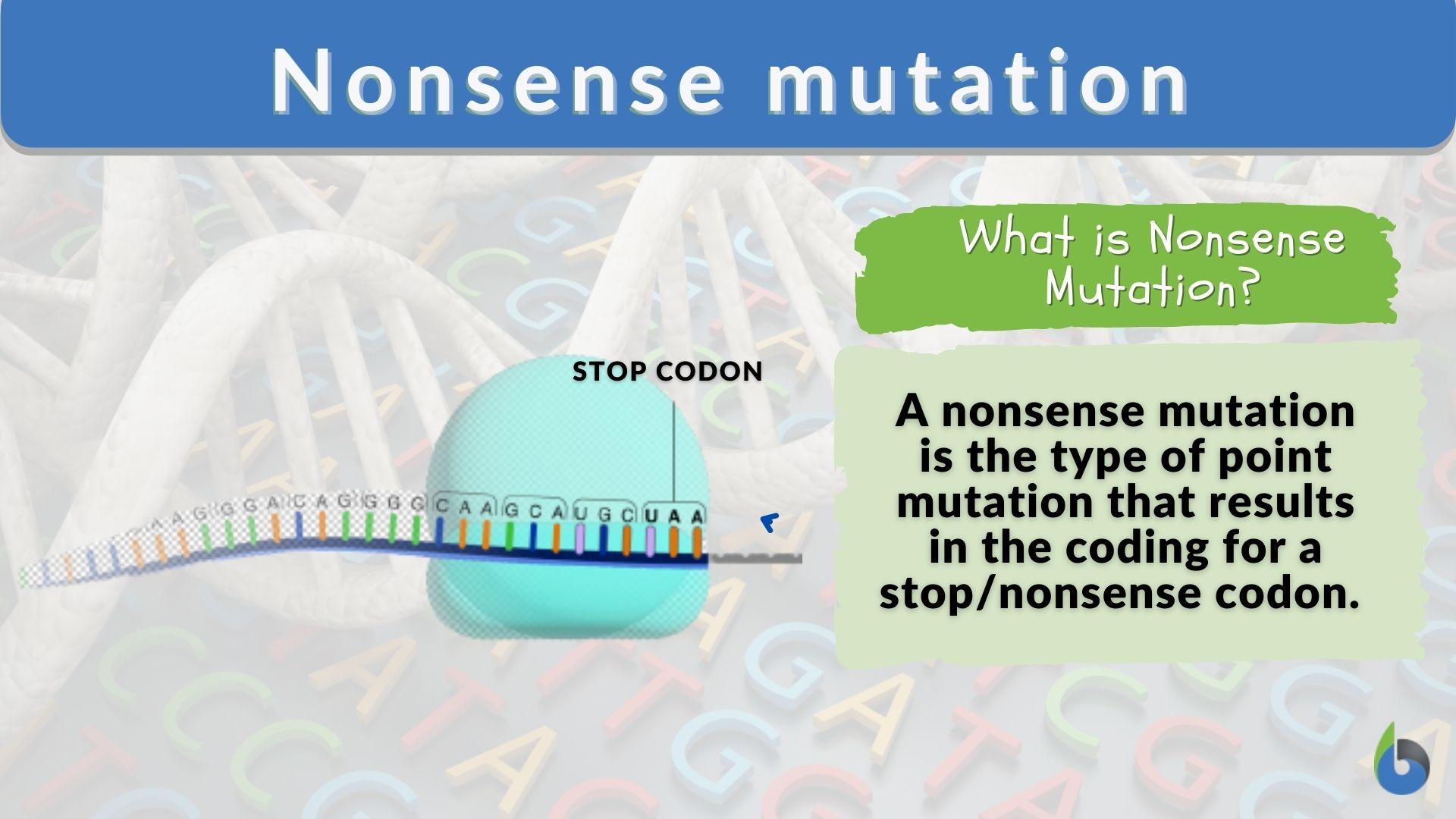 Nonsense mutation - Definition and Examples - Biology Online