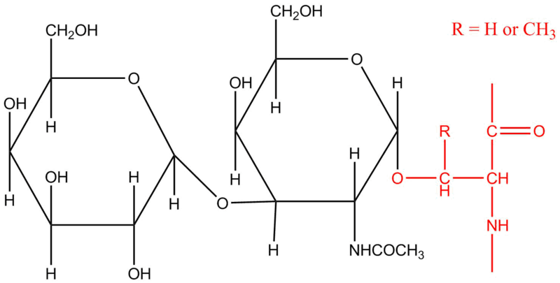 oligosaccharide structure