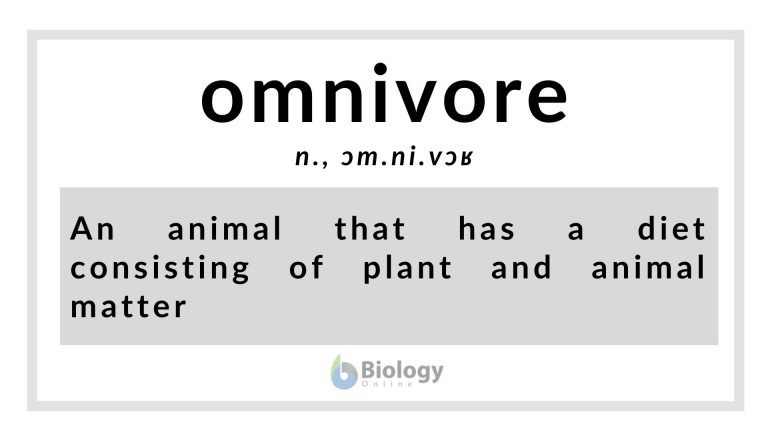 omnivore definition