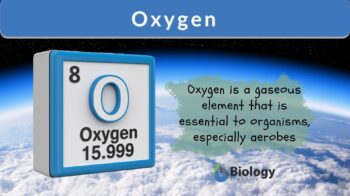 oxygen definition