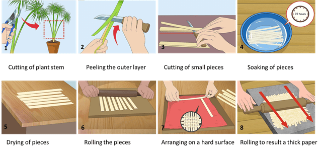 papyrus making from pith