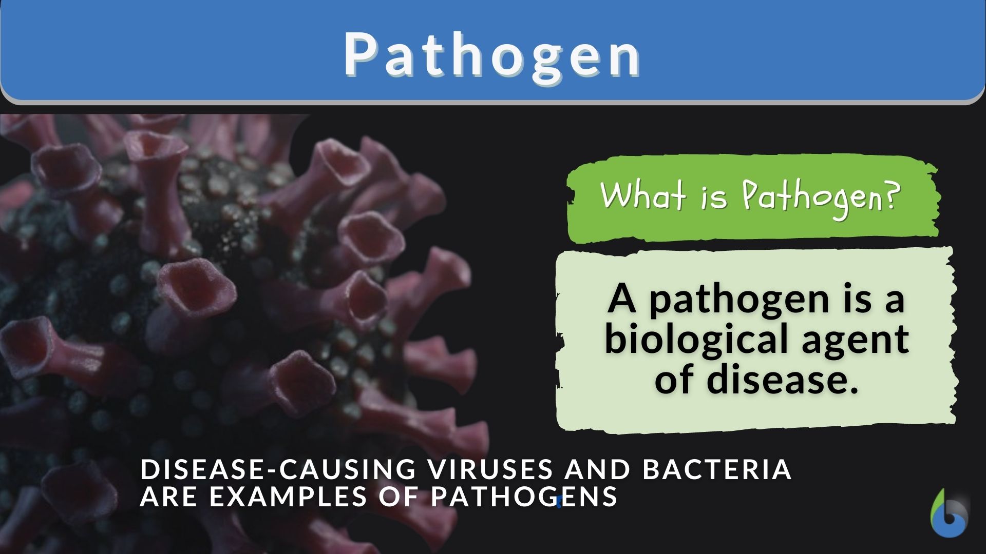 Pathogen Definition And Examples Biology Online Dictionary