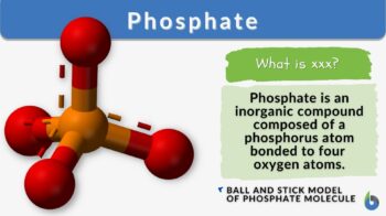 phosphate - definition and example