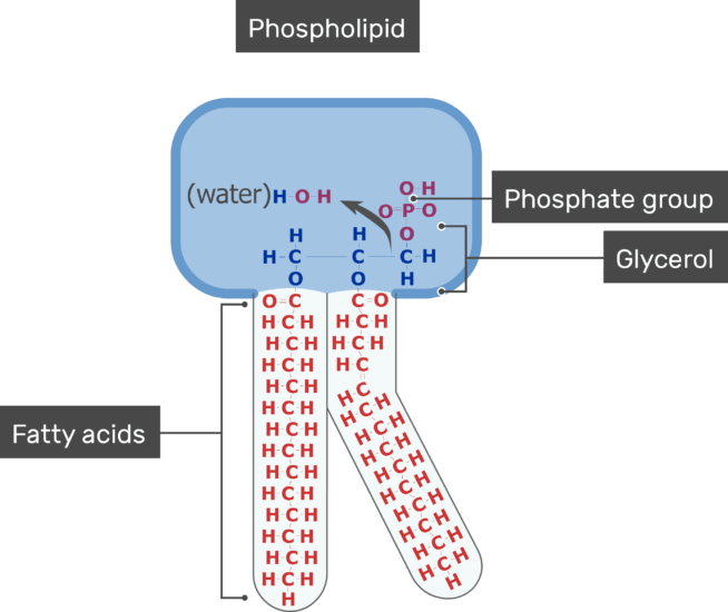 phosphate parts