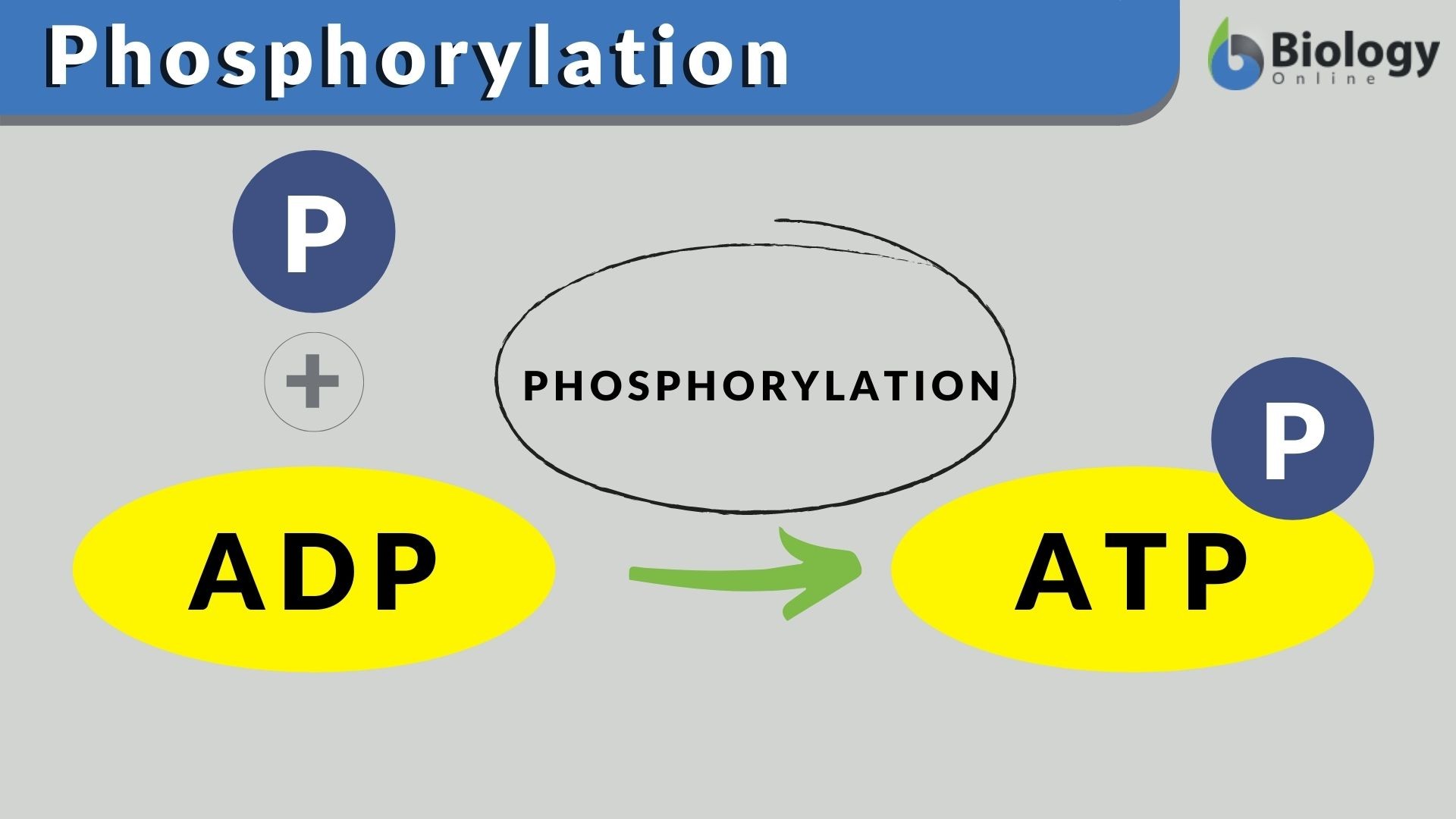 vertical proliferation definition