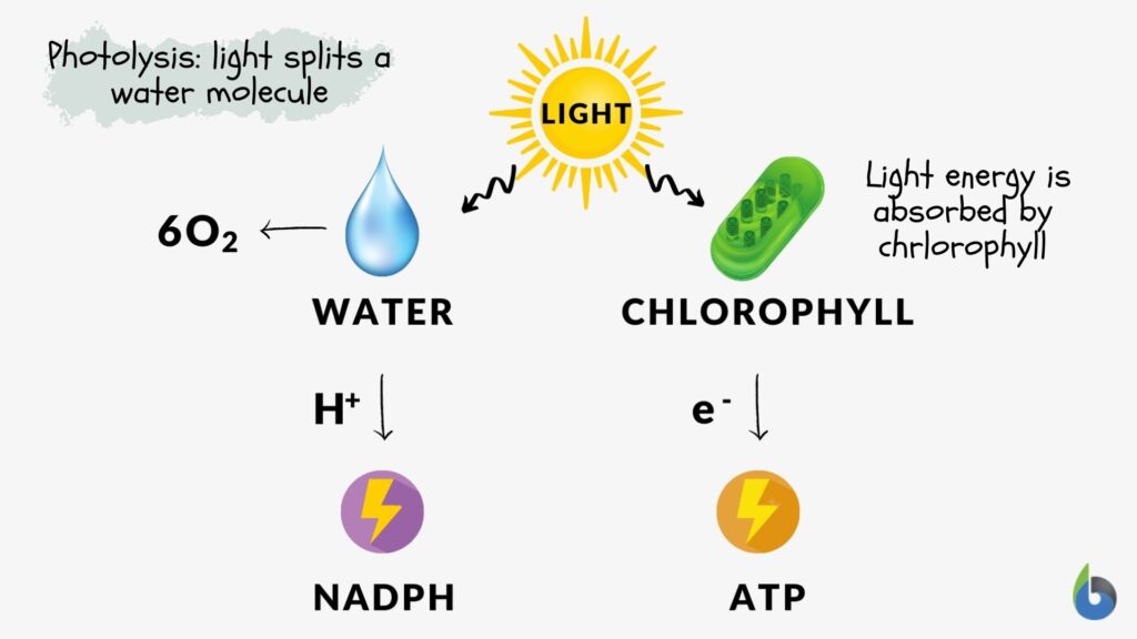 photolysis process