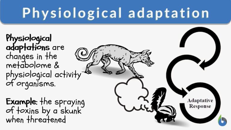 physiological adaptation definition and example