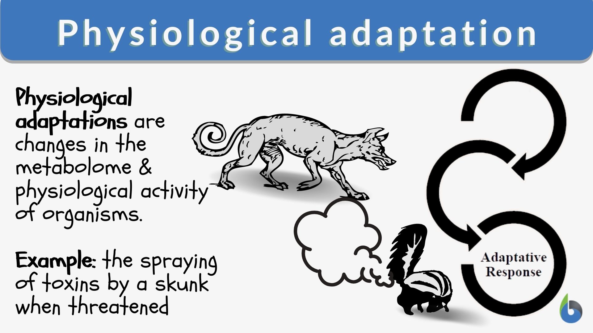Adaptation