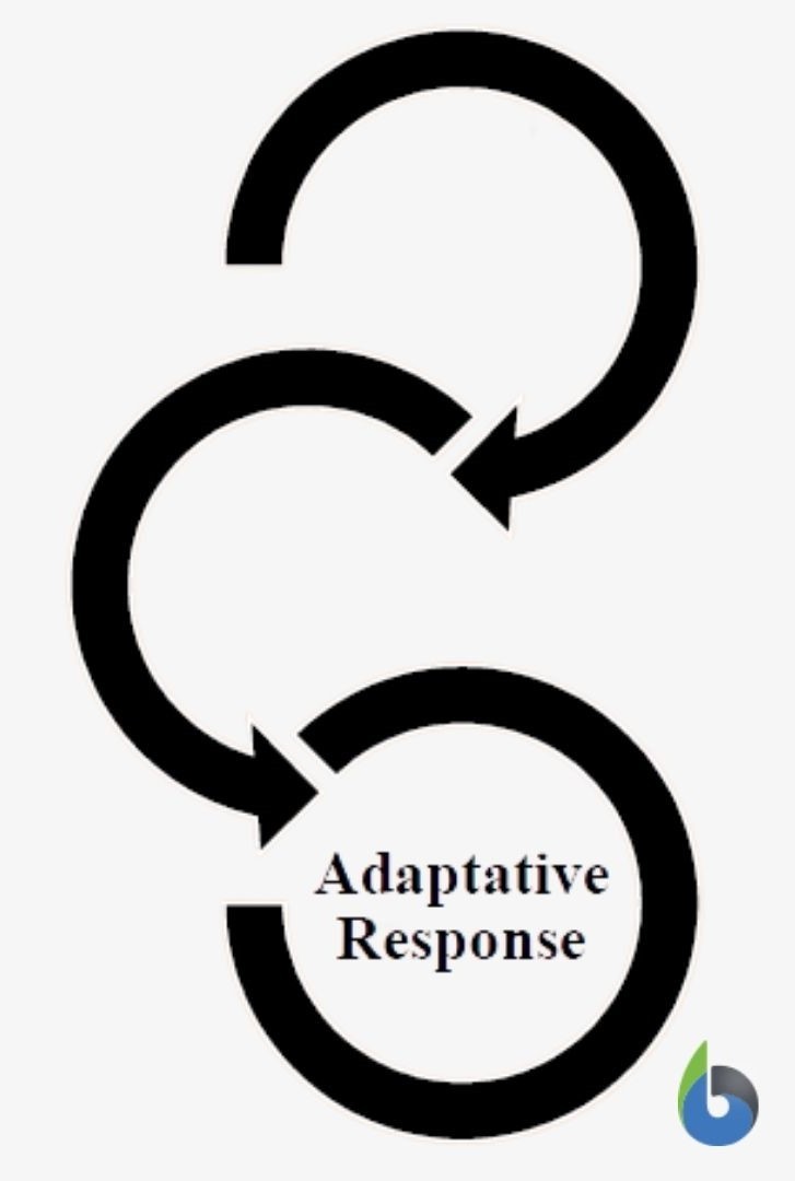 physiological adaptation flowchart