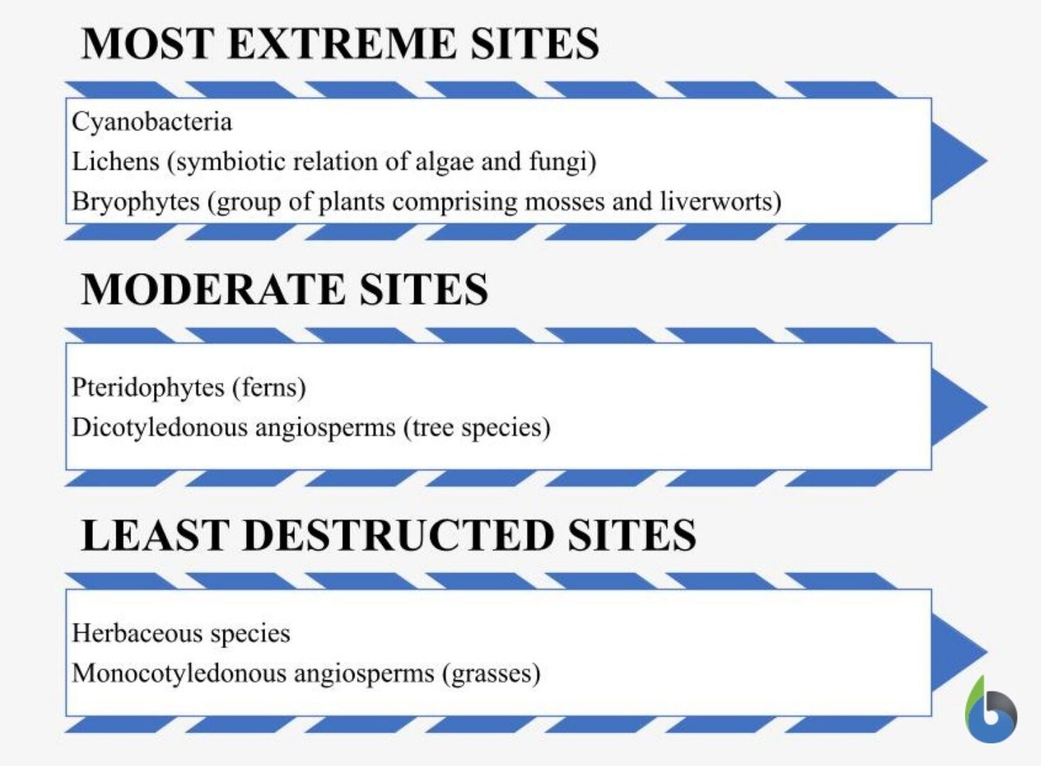 What Is a Pioneer Species? Definition and Examples