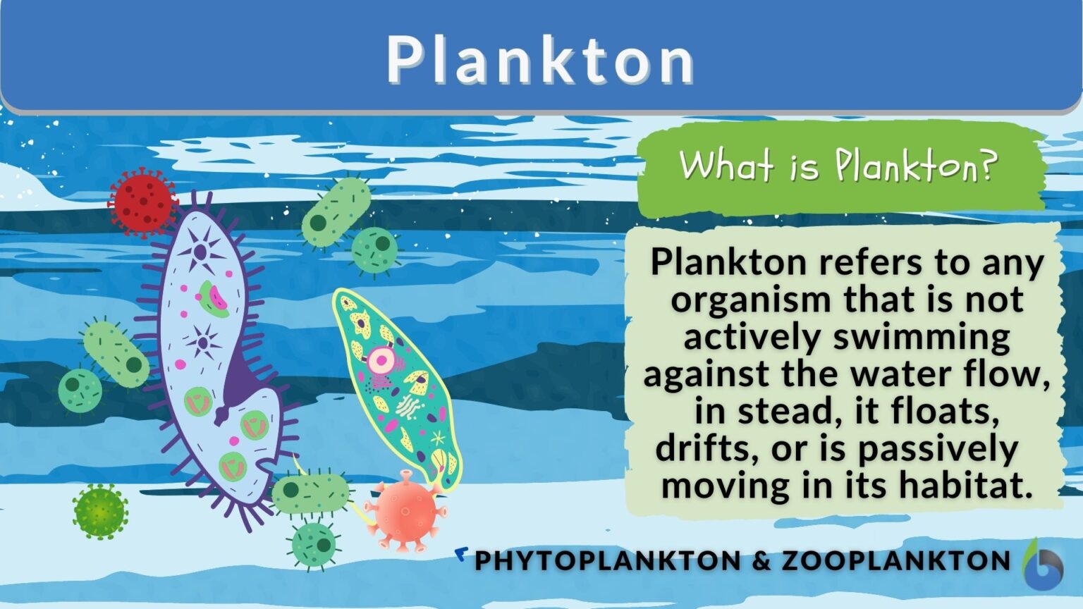 plankton-definition-and-examples-biology-online-dictionary