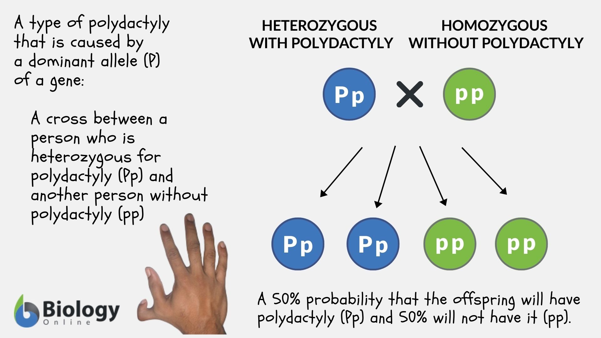 recessive definition